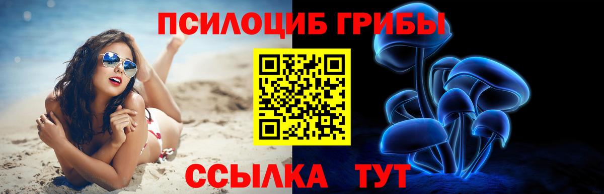 Воронеж  как найти   Псилоцибиновые грибы GOLDEN TEACHER  Вход с VPN  Псилоцибиновые грибы прущие грибы 